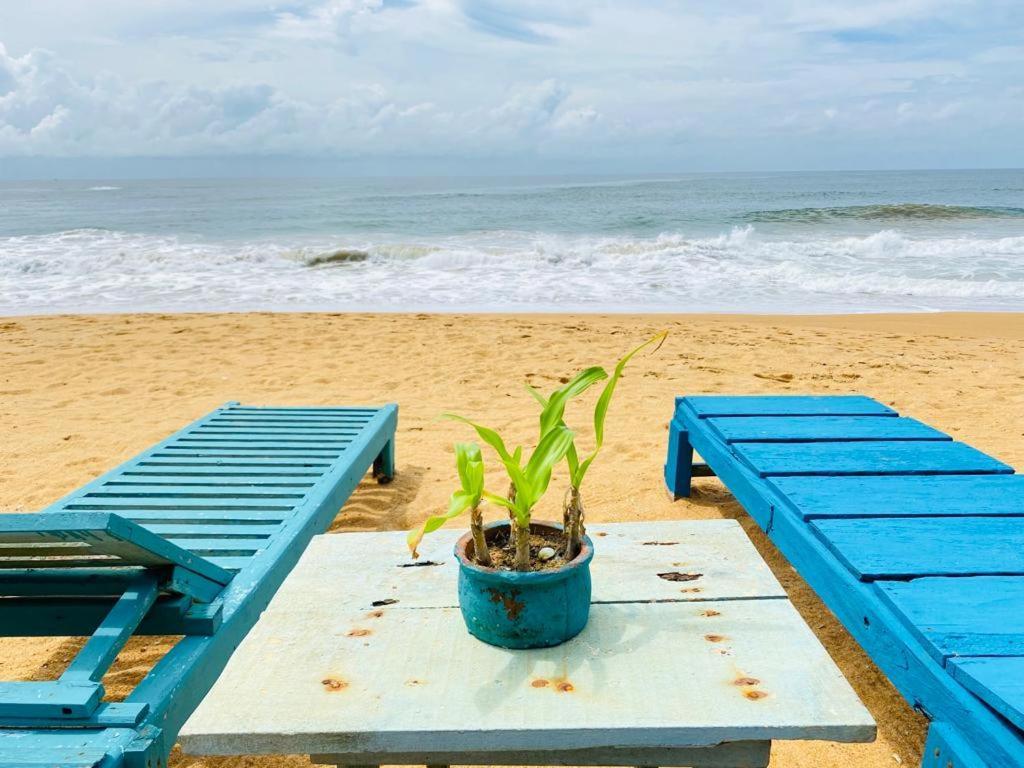 Ramya Ru Beach Home 高尔 外观 照片